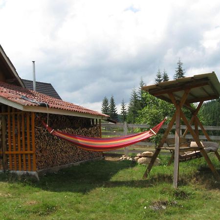 Podina Guest House Poiana Horea Екстериор снимка