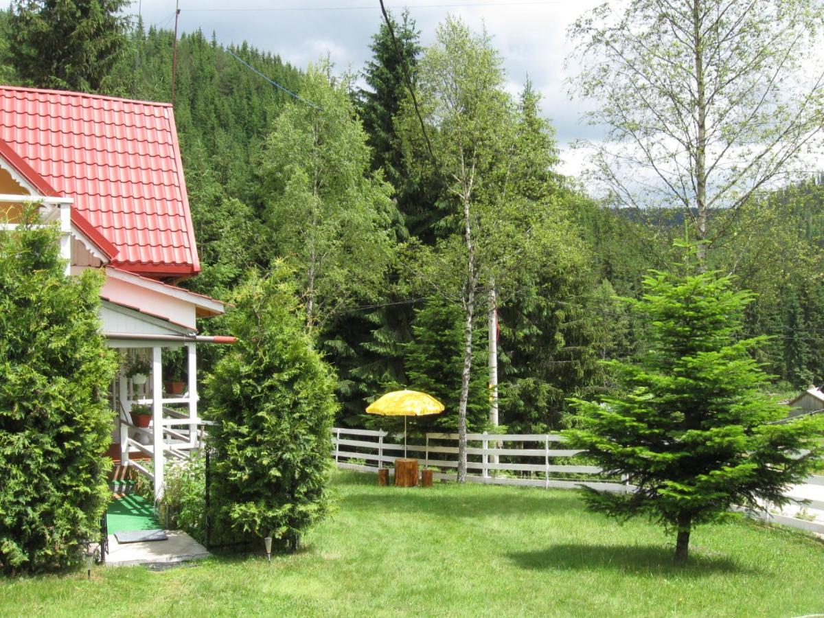 Podina Guest House Poiana Horea Екстериор снимка