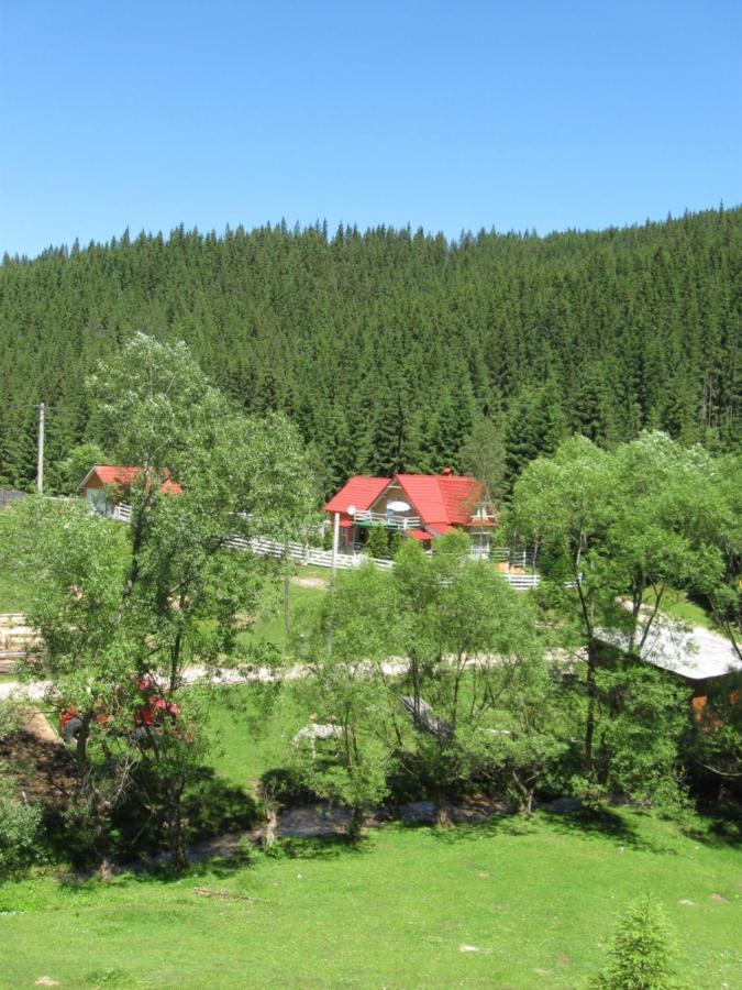 Podina Guest House Poiana Horea Екстериор снимка