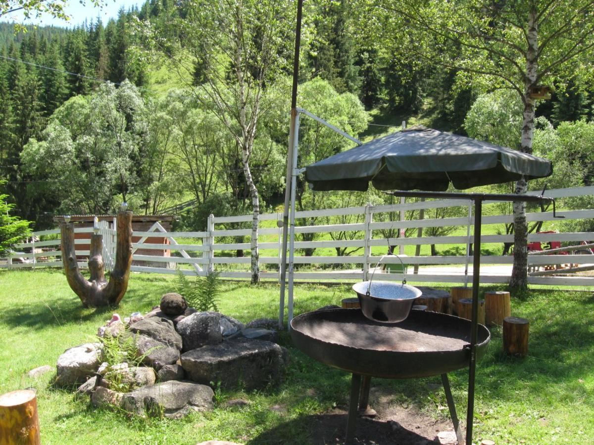 Podina Guest House Poiana Horea Екстериор снимка