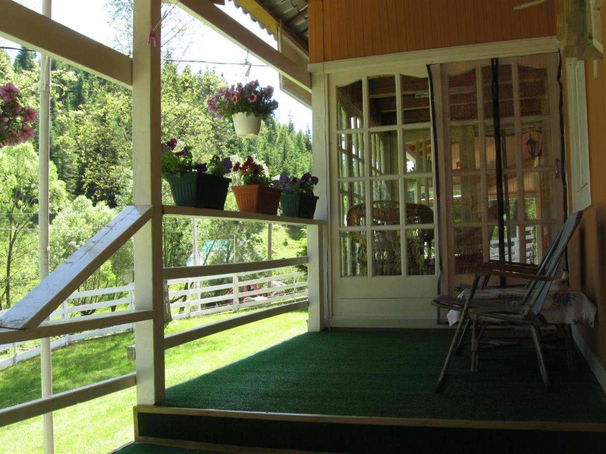 Podina Guest House Poiana Horea Екстериор снимка