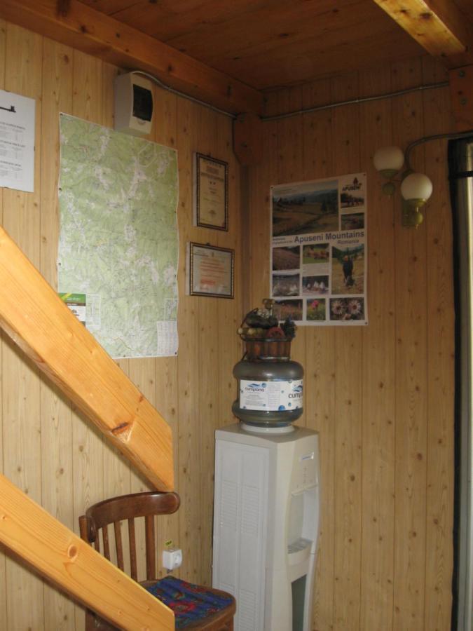 Podina Guest House Poiana Horea Екстериор снимка
